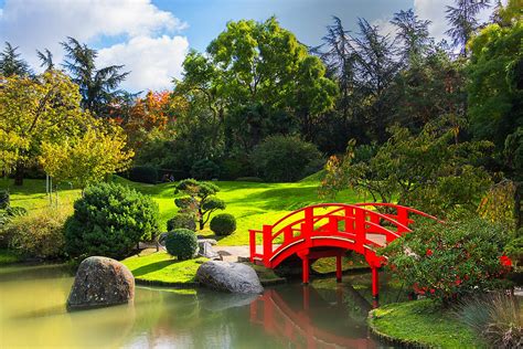 Le Jardin Japonais de la Cité Internationale: Khám Phá Một Oasis của Bình Yên Giữa lòng Lyon Sôi Động!