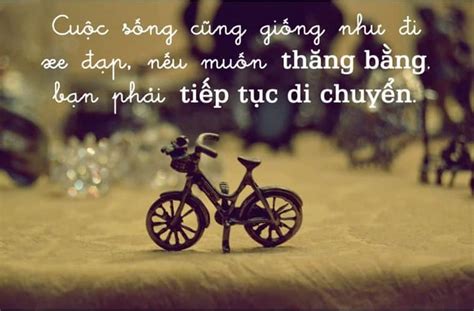  Chùa Vân Phong: Nơi Tĩnh Lặng Giữa Bão Dông Cuộc Sống